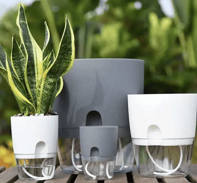 Self Watering Planter