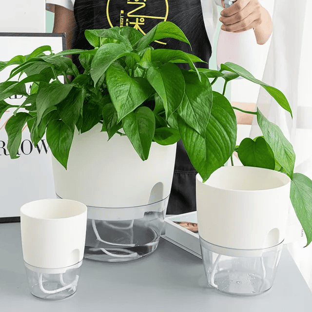 Self Watering Planter