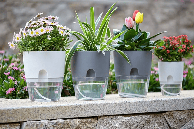 Self Watering Planter
