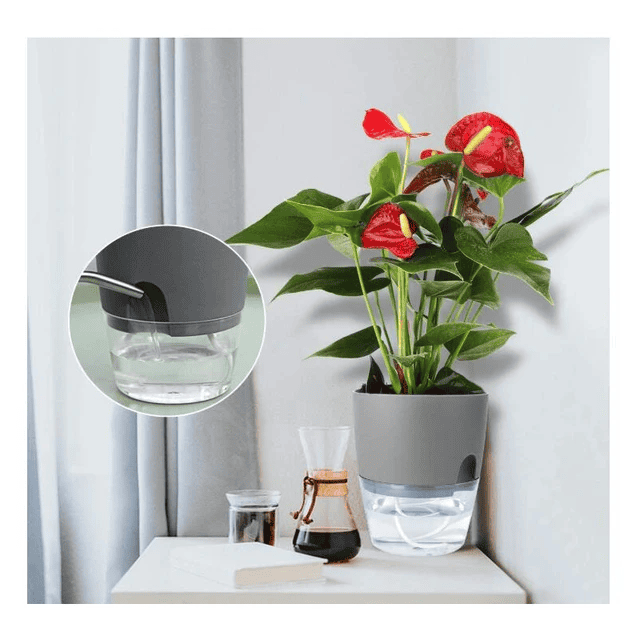 Self Watering Planter