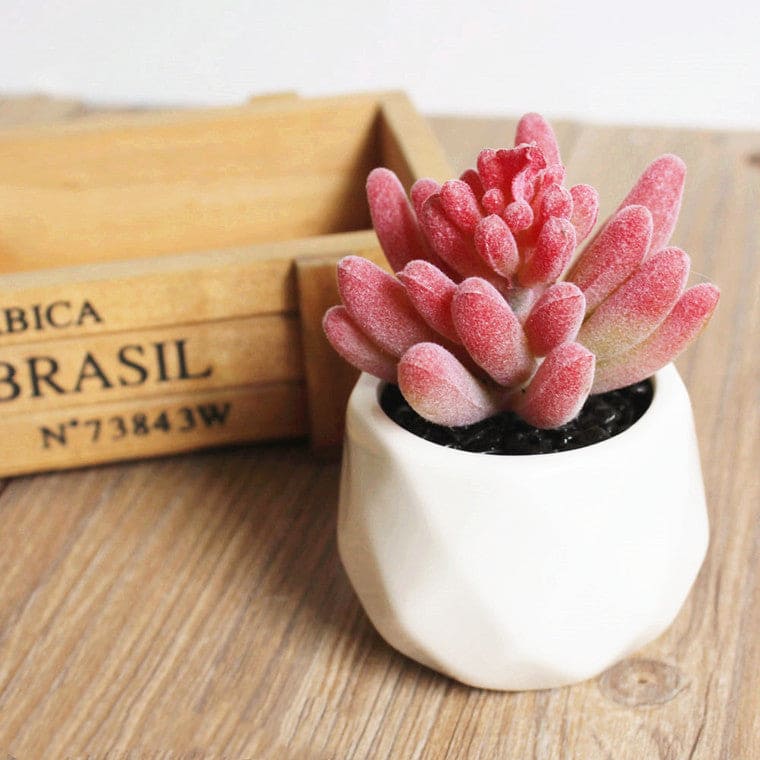 Artificial Succulent Bonsai Creative Ornaments for Home and office with Pot