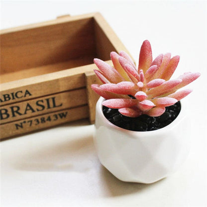 Artificial Succulent Bonsai Creative Ornaments for Home and office with Pot