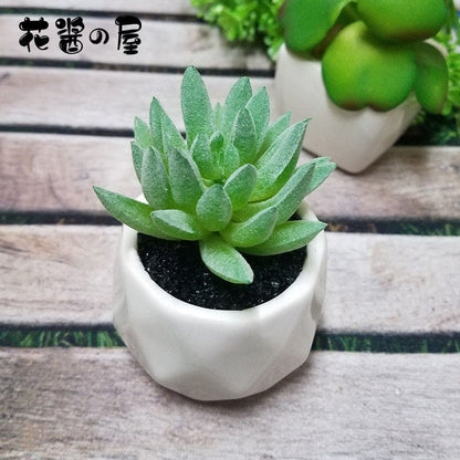 Artificial Succulent Bonsai Creative Ornaments for Home and office with Pot