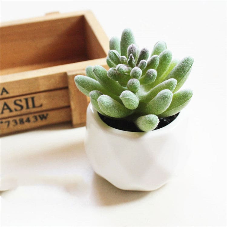 Artificial Succulent Bonsai Creative Ornaments for Home and office with Pot