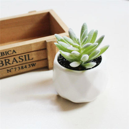 Artificial Succulent Bonsai Creative Ornaments for Home and office with Pot