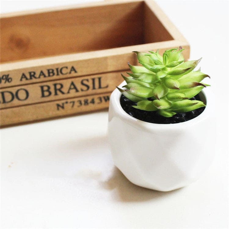 Artificial Succulent Bonsai Creative Ornaments for Home and office with Pot