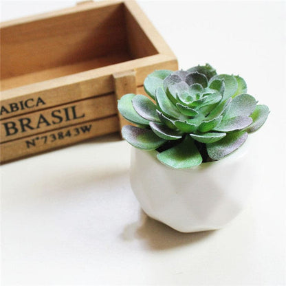 Artificial Succulent Bonsai Creative Ornaments for Home and office with Pot