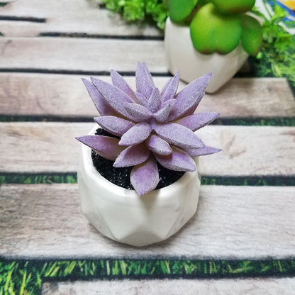 Artificial Succulent Bonsai Creative Ornaments for Home and office with Pot