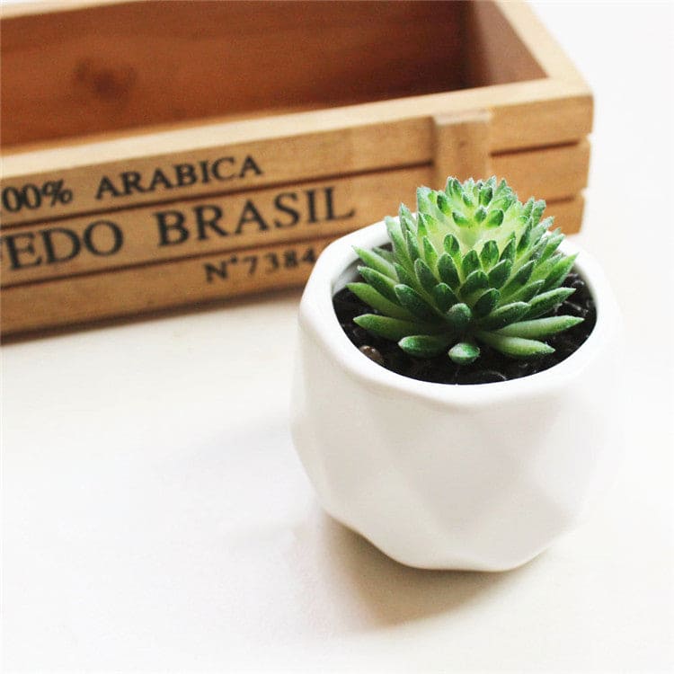 Artificial Succulent Bonsai Creative Ornaments for Home and office with Pot