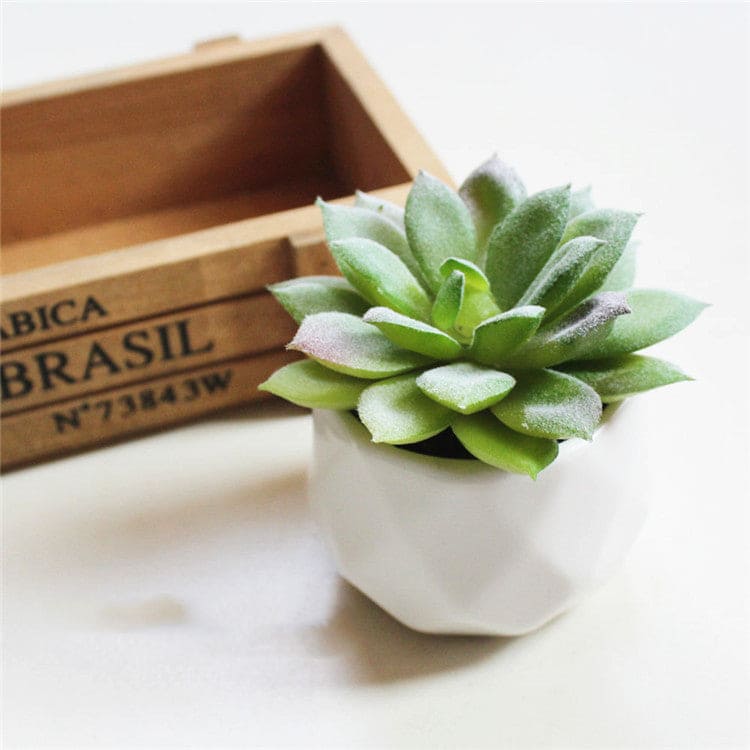 Artificial Succulent Bonsai Creative Ornaments for Home and office with Pot