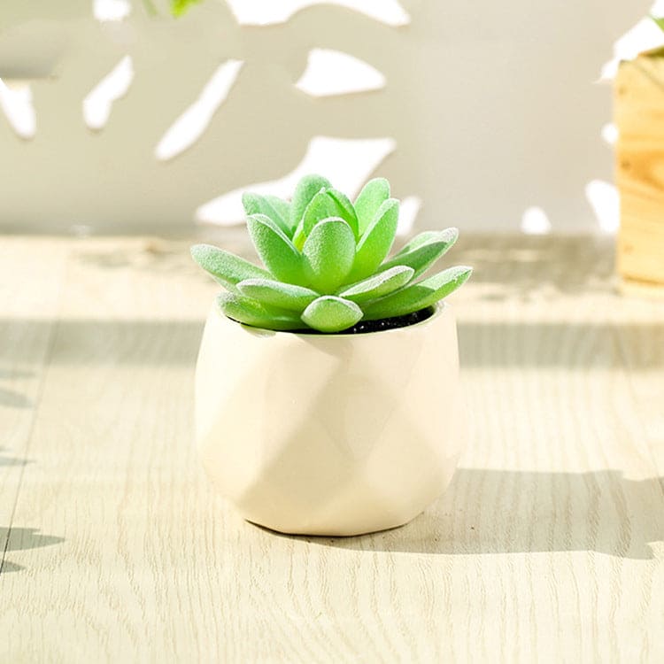 Artificial Succulent Bonsai Creative Ornaments for Home and office with Pot