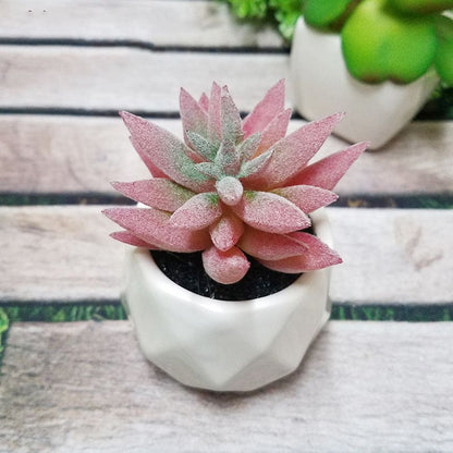 Artificial Succulent Bonsai Creative Ornaments for Home and office with Pot