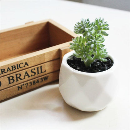 Artificial Succulent Bonsai Creative Ornaments for Home and office with Pot